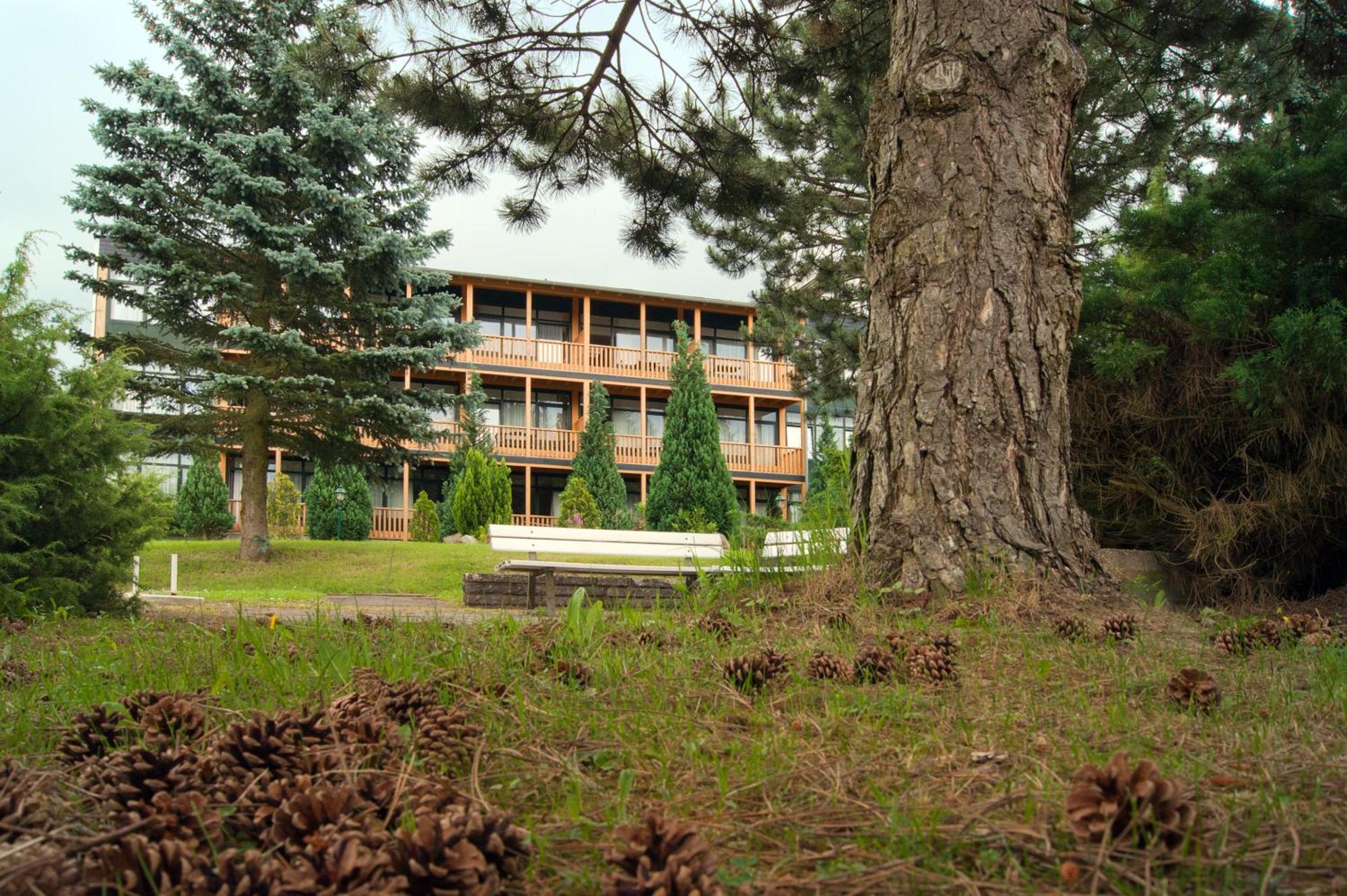 Landhotel Harz Тале Экстерьер фото